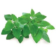 Click and Grow Catnip Pods - Seedling Planter