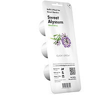 Click and Grow Sweet Alyssum - Seedling Planter