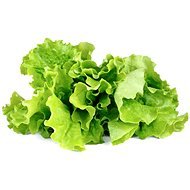 Click and Grow Lettuce Salad - Seedling Planter