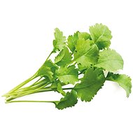 Click and Grow Cut - Seedling Planter