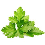 Click and Grow Coriander - Seedling Planter