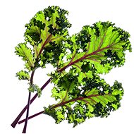 Click and Grow Red Cabbage - Seedling Planter