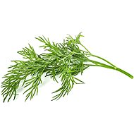 Click and Grow Dill - Seedling Planter