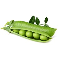 Click and Grow Peas - Seedling Planter