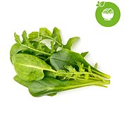 Click and Grow Salat-Mix - Setzling