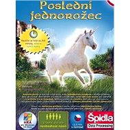  The Last Unicorn  - PC Game
