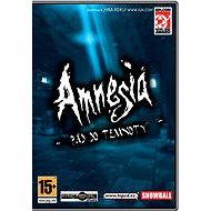  Amnesia  - PC Game