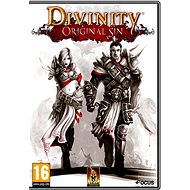 Divinity Original Sin - PC Game