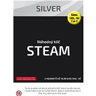 Silver key (Steam) - Gaming Accessory