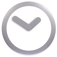 NEXTIME 2615ZI - Wall Clock