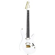 Divitone DSG-10AO - Electric Guitar