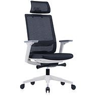 DALENOR Meteor X, ergonomická, síťovina, černá - Office Chair