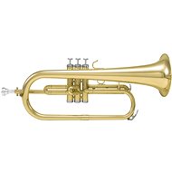 Dimavery FH-310P - Flugelhorn