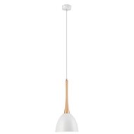 Chandelier on Cable 1xE27/60W/230V - Chandelier