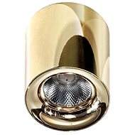 Azzardo AZ2846 - LED Ceiling Lamp MANE 1xLED/10W/230V - Ceiling Light