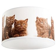 Ceiling Light KITTY 1xE27/60W/230V - Ceiling Light