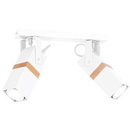 Spotlight VIDAR 2xGU10/25W/230V - Spot Lighting