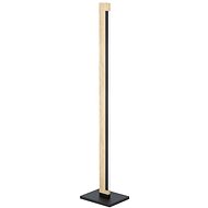 Eglo - LED Dimmable floor lamp LED/22W/230V - Floor Lamp