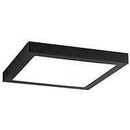 Paulmann 70985 - LED/22W Ceiling Light ABIA 230V - Ceiling Light