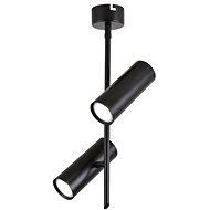 LED Spot light TUBA 2xLED/10W/230V Black - Ceiling Light