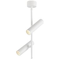 LED Spotlight TUBA 2xLED/10W/230V White - Spot Lighting