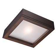 Ceiling Light AGATA 1xE14/40W/230V - Ceiling Light