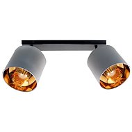 Spotlight SOFIA 2xE27/60W/230V Grey - Spot Lighting