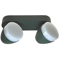 LED Spotlight SURMUR 2xLED/6W/230V Green - Spot Lighting