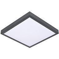 LED Ceiling Light VITALI LED/18W/230V - Ceiling Light