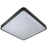 Ceiling Light WILTON 2xE27/60W/230V - Ceiling Light