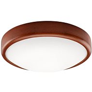 LED Ceiling Light 1xLED/12W/230V - Ceiling Light
