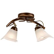 Spotlight IVY 2xE14/40W/230V - Spot Lighting