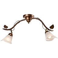 Spotlight IVY 2xE14/40W/230V - Spot Lighting