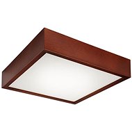 LED Ceiling Light 1xLED/24W/230V - Ceiling Light