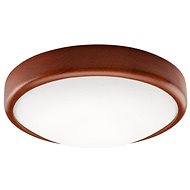 Ceiling Light 1xE27/60W/230V - Ceiling Light