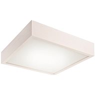 Ceiling Light 2xE27/60W/230V - Ceiling Light