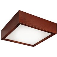 Ceiling Light 2xE27/60W/230V - Ceiling Light