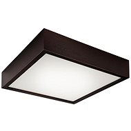 Ceiling Light 2xE27/60W/230V - Ceiling Light