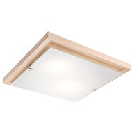 LED Ceiling Light 1xLED/24W/230V - Ceiling Light