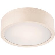 LED Ceiling Light 1xLED/12W/230V - Ceiling Light
