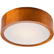 LED Ceiling Light 1xLED/12W/230V - Ceiling Light