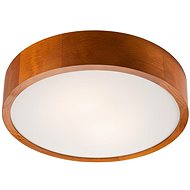 LED Ceiling Light 1xLED/24W/230V - Ceiling Light