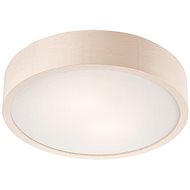 LED Ceiling Light 1xLED/24W/230V - Ceiling Light