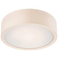 Ceiling Light 1xE27/60W/230V - Ceiling Light