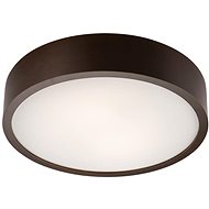 Ceiling Light 2xE27/60W/230V - Ceiling Light