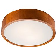 Ceiling Light 2xE27/60W/230V - Ceiling Light