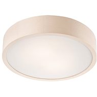 Ceiling Light 2xE27/60W/230V - Ceiling Light