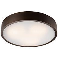 Ceiling Light 3xE27/60W/230V - Ceiling Light