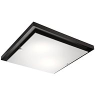 Ceiling Light 2xE27/60W/230V - Ceiling Light