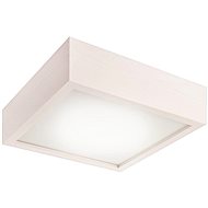 Ceiling Light 1xE27/60W/230V - Ceiling Light